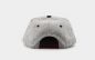 Preview: "Schwangau" - hellgrau (Snapback)