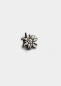 Preview: BC Edelweiß Pin