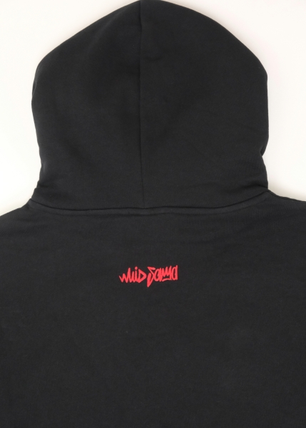 Hoodie "Wuid Samma: Lexenkaspar" - schwarz