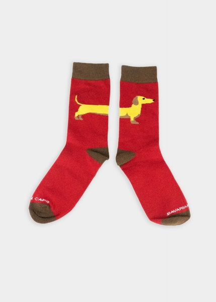 Socks box "Dackel"