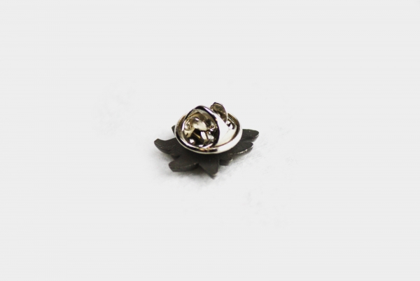 BC Edelweiß Pin